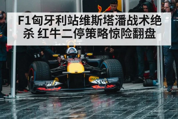 Red Bull pit stop strategy F1