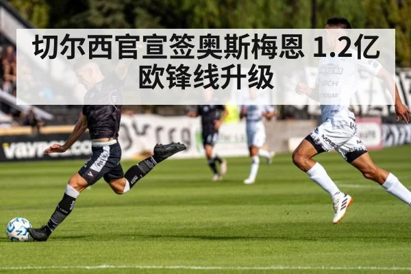 切尔西官宣签奥斯梅恩 1.2亿欧锋线升级